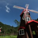 충북알프스자연휴양림 이미지