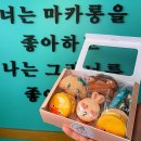 살롱드마카롱
