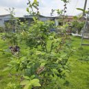 가히공인중개사사무소 이미지