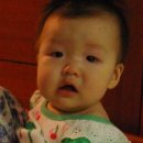 미즈맘 Daum카페