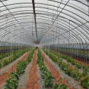 농경3농장 이미지