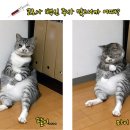 153공조