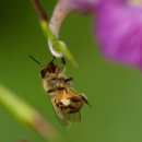 서당골 농장 이미지