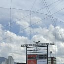 중앙-9 | 대전 한화생명 볼파크 중앙지정석 100A 9열 좌석시야 먹거리 추천 음식 후기