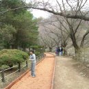 속리산사내리캠핑장 Daum카페