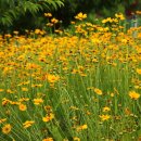 운수3리 이미지