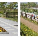 1순환로(3-170) 이미지