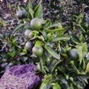 광령보건진료소 이미지