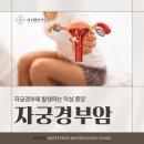 마리엘산부인과의원 이미지