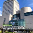 샴푸관광나이트크럽 | 도쿠시마 호텔 추천, JR 클레멘트 숙소 위치 더블룸 조식 후기