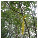 구만산장 이미지