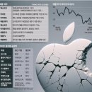 (118) “애플 독점에 LG 스마트폰 사업 접었다”...美정부, 정조준한 까닭은 이미지