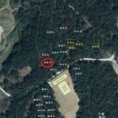 수덕초등학교 | 예산 파인힐캠핑장 솔직 후기 / 독서실 캠핑장 / 힐링캠추천 / 애견동반캠핑장