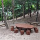 유아동네숲터 이미지