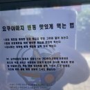 로데오노래연습장 이미지