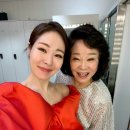 미자네 스포츠서울