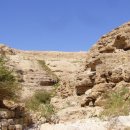 라우라(LAURA) 이미지