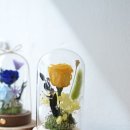 시들지 않는 LED플라워 공예 이미지