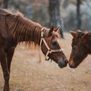 온화한의원 이미지