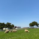 수정목장 이미지