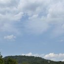 부산국제외국인학교 | 24.6.16. 기장 드라이브(버지니아, 해동용궁사, 청초수물회부산점)