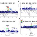 클리노믹스 의료기기 이미지