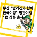 도그런하우스 | 부산 “반려견과 함께 한국여행” 방한여행 1호 상품 출시