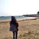 하모리-10 이미지