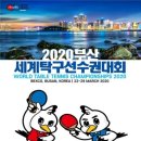 탁구 (D) 이미지