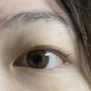 로망스안경 이미지