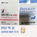 천안동물약국 | 강아지 디스크 치료 중 알게 된 약값 절약 팁 (프레비콕스 + 약국 활용법)