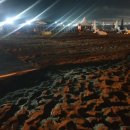 화이트비치펜션 이미지