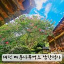 남간정사 | 대전여행 배롱나무명소 우암사적공원 남간정사
