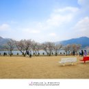 매화1공원 이미지