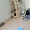 이디야커피 신내동점 이미지