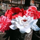 미대농장 이미지