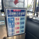 경주 강동워터파크 구 블루원 후기 준비물, 가격, 식사, 수건