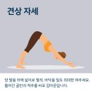 효성요가
