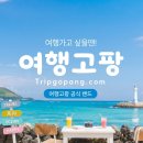 해외여행 참고용으로 태풍 '돌핀(DOLPHIN)' 경로를 체크해봤습니다. 이미지