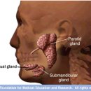 운동케어센터 이미지