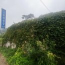 숲속향기캠핑장 이미지