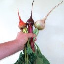 미주식품 이미지