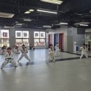 세종 고운 태권도 이미지