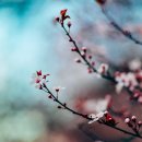 기초일본어교실 이미지