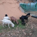 태성2농장 이미지