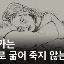 예술가 이미지