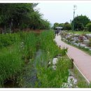 부산수목전시원 이미지