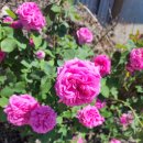 한우진 식육식당 이미지