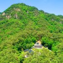 "산림청 100대 명품숲길인데 입장·주차 무료"... 1급수 계곡 품은 전국 5대 적멸보궁 사찰 이미지