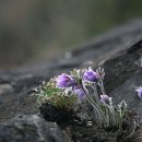 명장2동-20 이미지